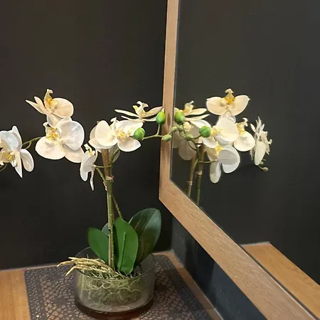 Innsbruck דירה *