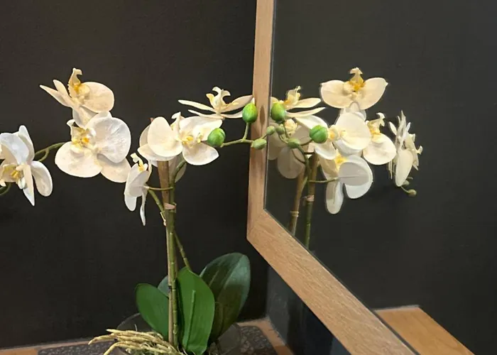 Innsbruck Appartement *